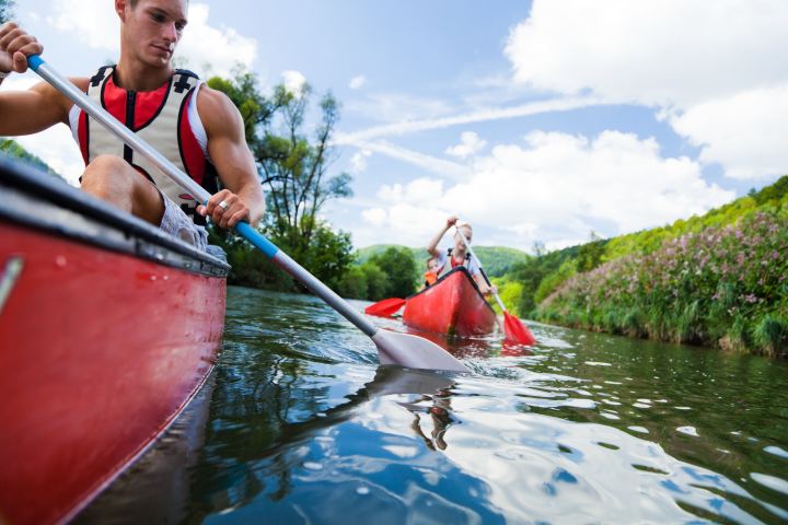 Group kayaking in red kayaks with oars