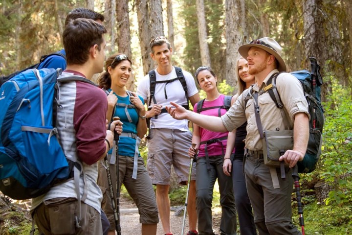 a group of people in a forest