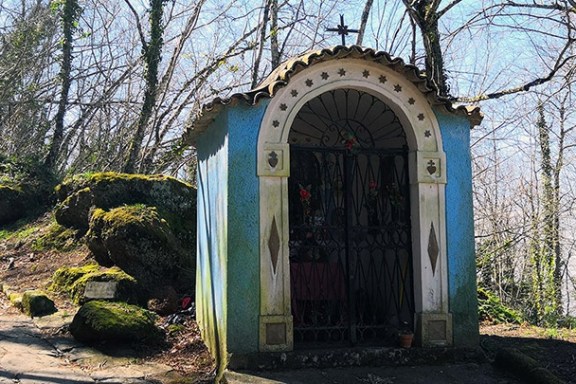 a person sitting in a garden